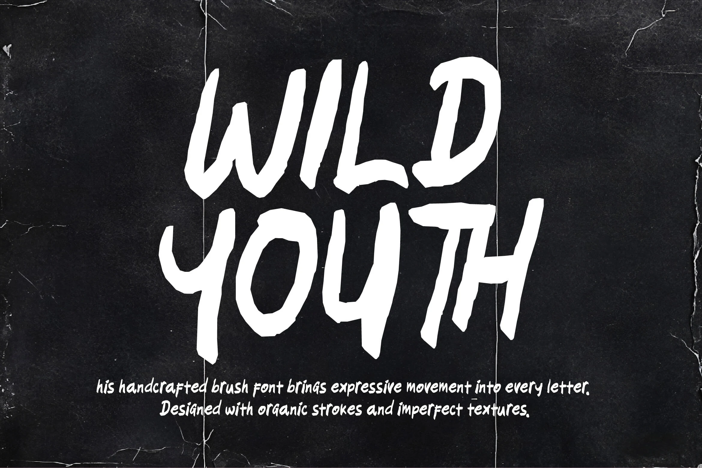 Wild Youth cover